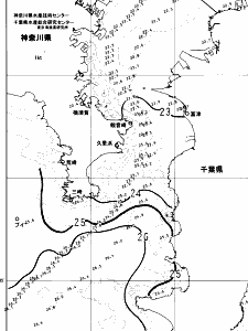 東京湾口海況図(2024/10/17)