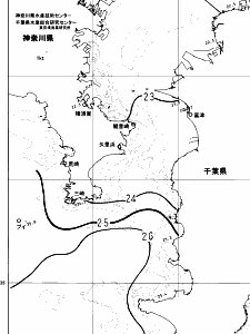 東京湾口海況図(2024/10/18)