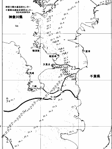 東京湾口海況図(2024/10/19)