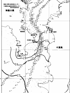 東京湾口海況図(2024/10/21)