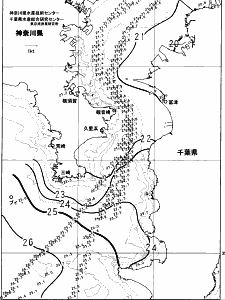 東京湾口海況図(2024/10/22)