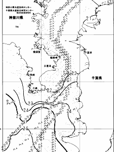 東京湾口海況図(2024/10/23)