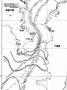 東京湾口海況図(2024/10/24)