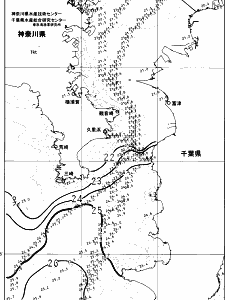 東京湾口海況図(2024/10/26)