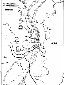 東京湾口海況図(2024/10/30)