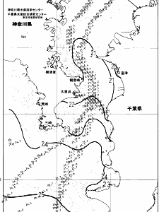 東京湾口海況図(2024/10/31)