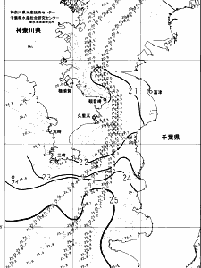 東京湾口海況図(2024/11/02)