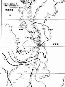 東京湾口海況図(2024/11/03)