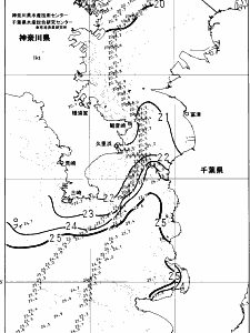 東京湾口海況図(2024/11/04)