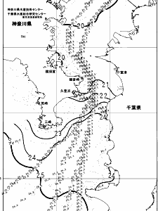 東京湾口海況図(2024/11/05)