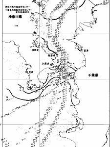 東京湾口海況図(2024/11/06)