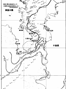 東京湾口海況図(2024/11/07)