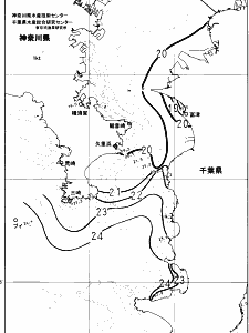 東京湾口海況図(2024/11/08)