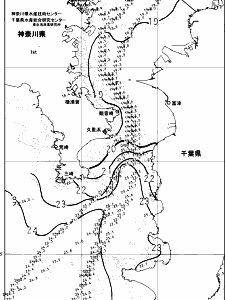 東京湾口海況図(2024/11/10)