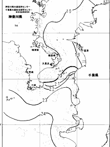東京湾口海況図(2024/11/11)