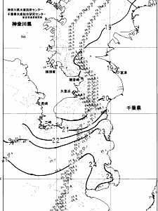 東京湾口海況図(2024/11/13)