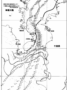 東京湾口海況図(2024/11/14)