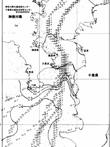 東京湾口海況図(2024/11/15)