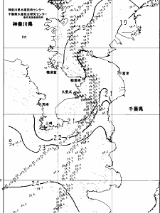 東京湾口海況図(2024/11/17)