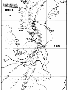東京湾口海況図(2024/11/18)