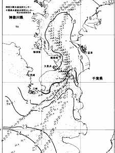 東京湾口海況図(2024/11/19)