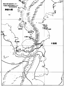 東京湾口海況図(2024/11/22)