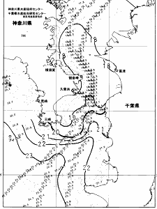 東京湾口海況図(2024/11/23)