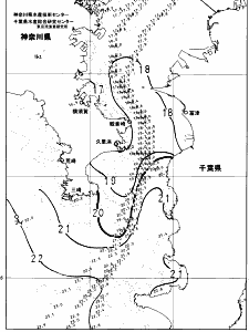 東京湾口海況図(2024/11/24)