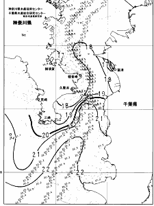 東京湾口海況図(2024/11/25)