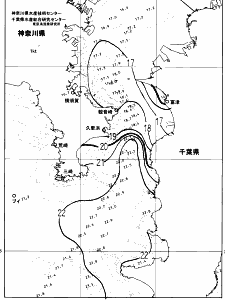 東京湾口海況図(2024/11/28)