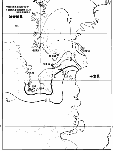 東京湾口海況図(2024/11/29)