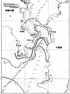 東京湾口海況図(2024/11/30)