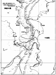 東京湾口海況図(2024/12/02)