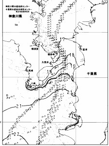 東京湾口海況図(2024/12/04)