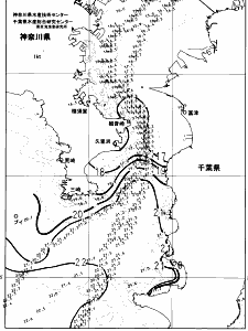 東京湾口海況図(2024/12/05)