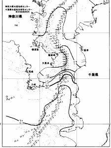 東京湾口海況図(2024/12/06)