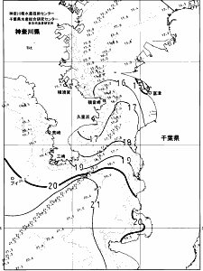 東京湾口海況図(2024/12/10)