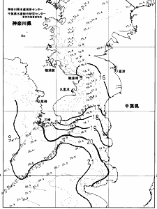 東京湾口海況図(2024/12/11)