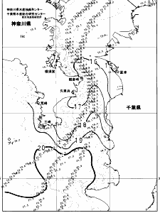 東京湾口海況図(2024/12/12)