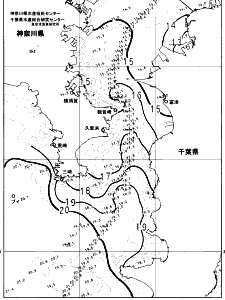 東京湾口海況図(2024/12/13)