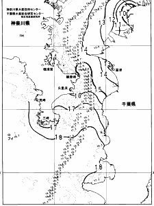 東京湾口海況図(2024/12/20)