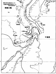 東京湾口海況図(2024/12/24)