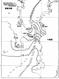 東京湾口海況図(2024/12/27)