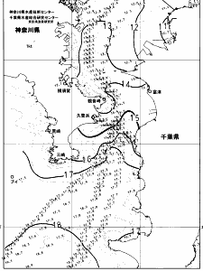 東京湾口海況図(2024/12/28)