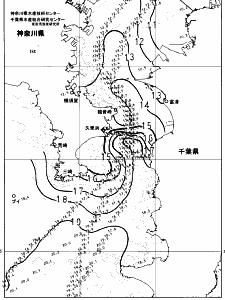 東京湾口海況図(2024/12/31)