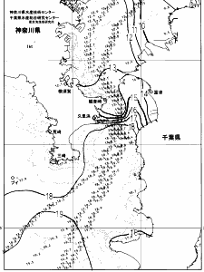 東京湾口海況図(2025/01/04)