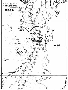 東京湾口海況図(2025/01/05)