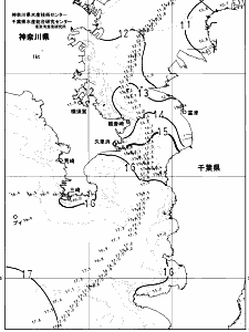 東京湾口海況図(2025/01/10)