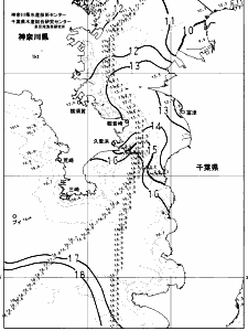 東京湾口海況図(2025/01/11)