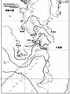 東京湾口海況図(2025/01/12)